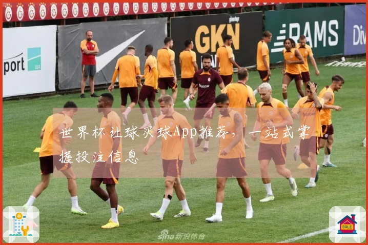 世界杯让球买球App推荐，一站式掌握投注信息