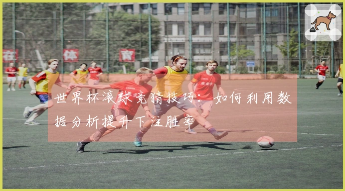 世界杯滚球竞猜技巧：如何利用数据分析提升下注胜率