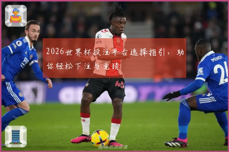 2026世界杯投注平台选择指引，助你轻松下注与竞猜