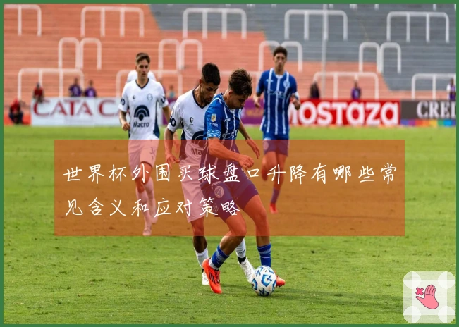 世界杯外围买球盘口升降有哪些常见含义和应对策略