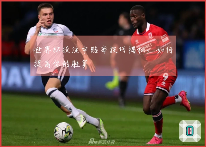 世界杯投注中赔率技巧揭秘，如何提高你的胜算