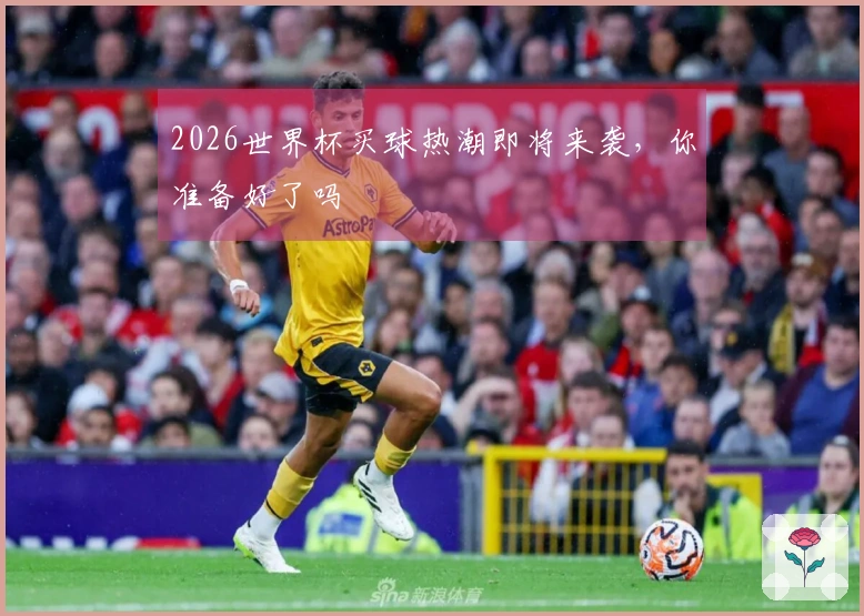 2026世界杯买球热潮即将来袭，你准备好了吗