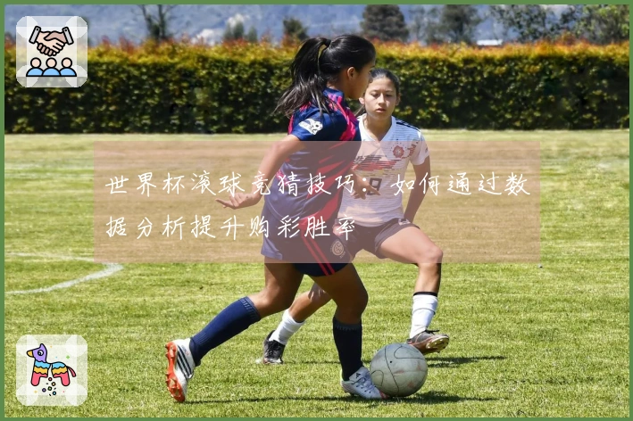 世界杯滚球竞猜技巧：如何通过数据分析提升购彩胜率