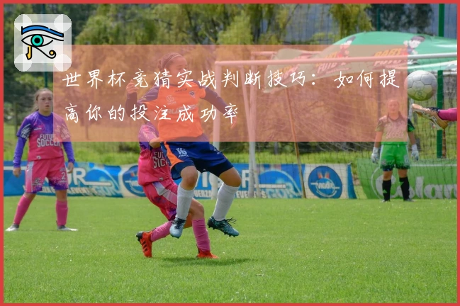 世界杯竞猜实战判断技巧：如何提高你的投注成功率