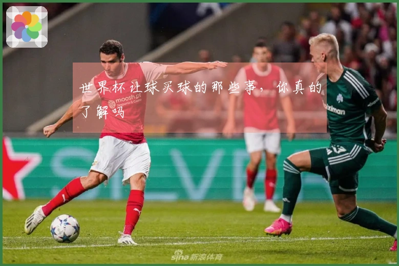 世界杯让球买球的那些事，你真的了解吗