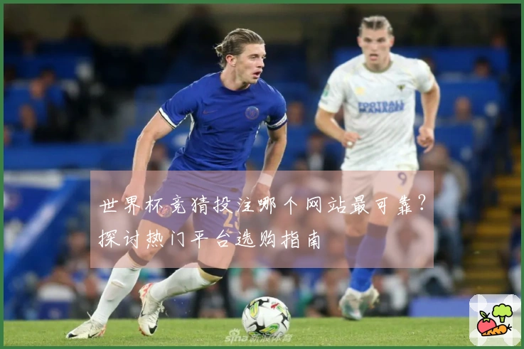 世界杯竞猜投注哪个网站最可靠？探讨热门平台选购指南