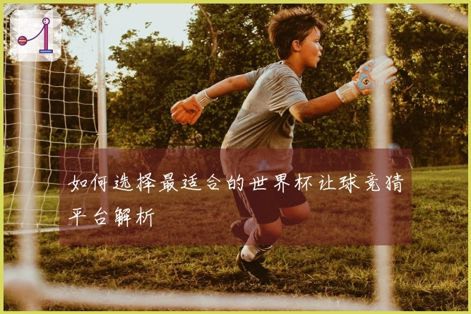 如何选择最适合的世界杯让球竞猜平台解析