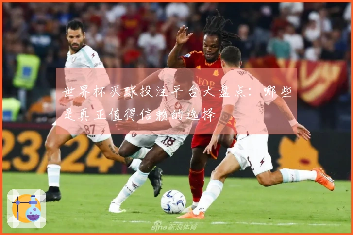 世界杯买球投注平台大盘点：哪些是真正值得信赖的选择