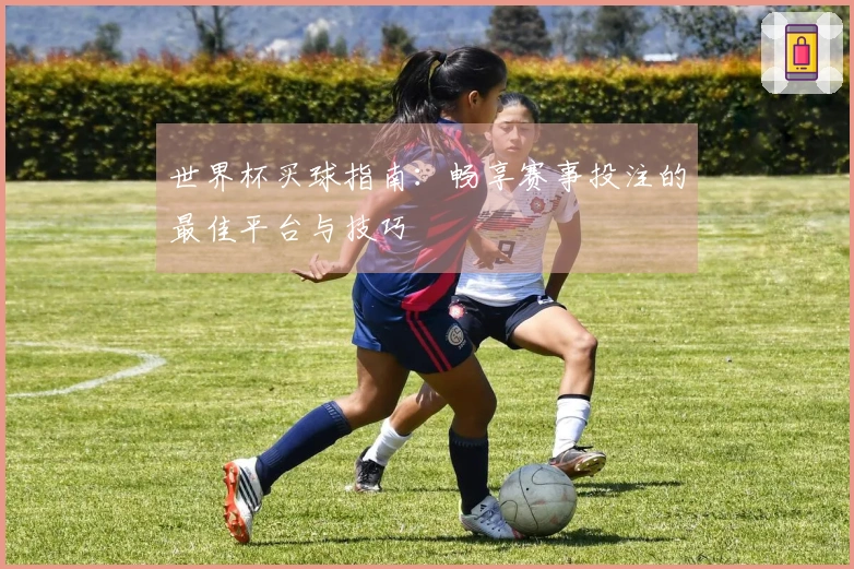 世界杯买球指南：畅享赛事投注的最佳平台与技巧