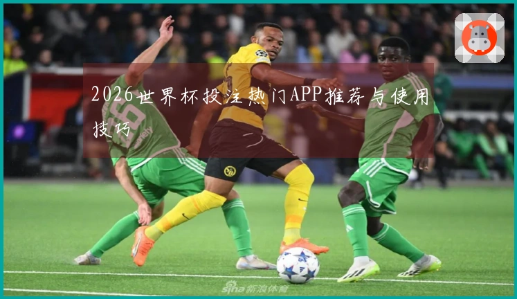 2026世界杯投注热门APP推荐与使用技巧