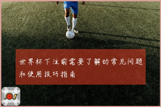 世界杯下注前需要了解的常见问题和使用技巧指南