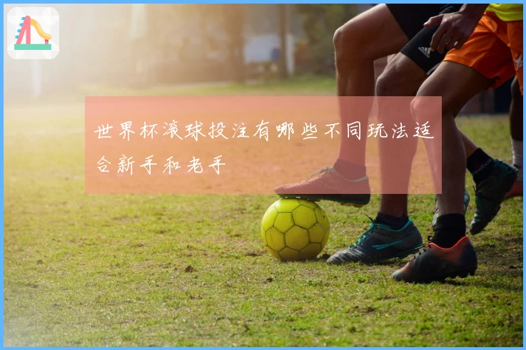 世界杯滚球投注有哪些不同玩法适合新手和老手