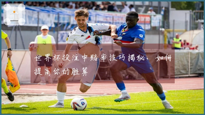 世界杯投注中赔率技巧揭秘，如何提高你的胜算