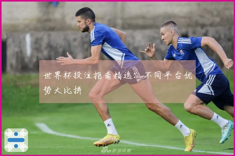 世界杯投注指南精选：不同平台优势大比拼