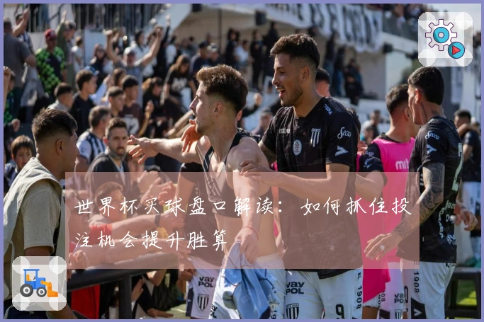 世界杯买球盘口解读：如何抓住投注机会提升胜算
