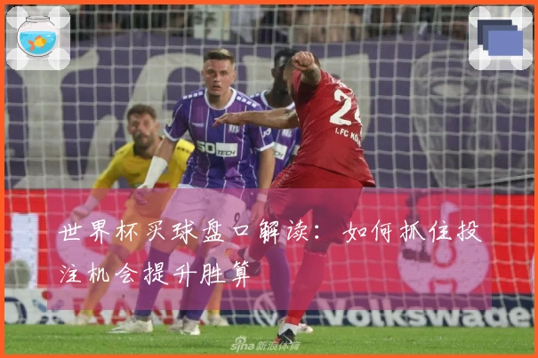 世界杯买球盘口解读：如何抓住投注机会提升胜算